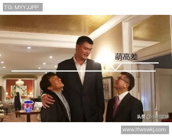 如何识别篮球明星的真伪技巧与方法分享